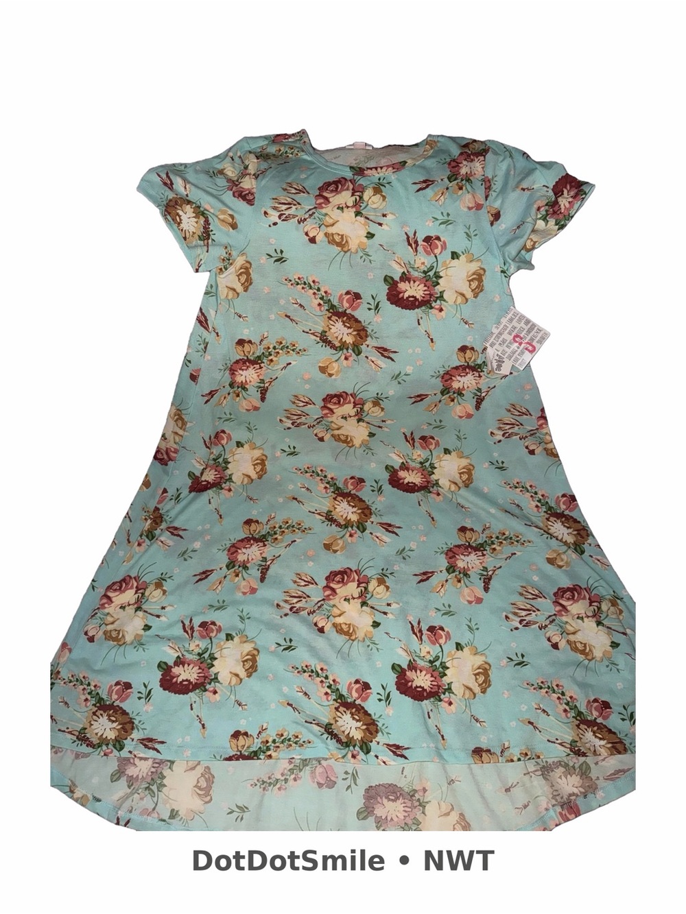 LuLaRoe Aqua Floral Carly